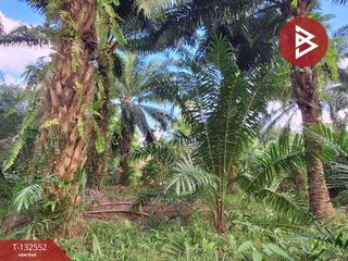 出售 土地 在 Mueang Nakhon Si Thammarat, Nakhon Si Thammarat