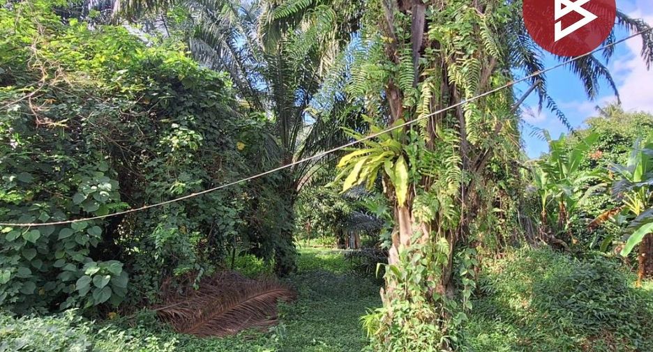 À vendre terrain à Mueang Nakhon Si Thammarat, Nakhon Si Thammarat