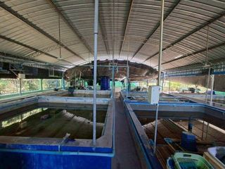 ขาย 3 ห้องนอน บ้านเดี่ยว ใน กุยบุรี, ประจวบคีรีขันธ์