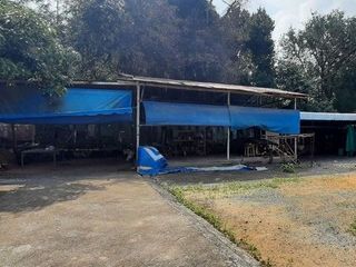 Haus zum Kauf mit 1 Zimmer in Khiri Rat Nikhom, Surat Thani