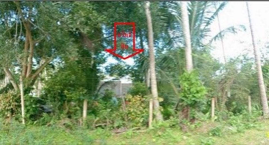 For sale land in Khiri Rat Nikhom, Surat Thani