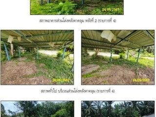 Terreno en venta en Khiri Rat Nikhom, Surat Thani