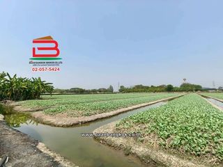 Terreno en venta en Bang Bua Thong, Nonthaburi