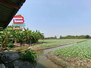 Terreno en venta en Bang Bua Thong, Nonthaburi