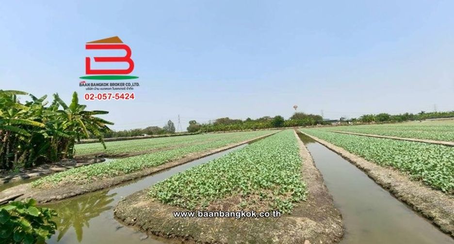 Grundstück zum Kauf in Bang Bua Thong, Nonthaburi