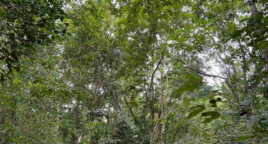 For sale warehouse in Khao Chamao, Rayong