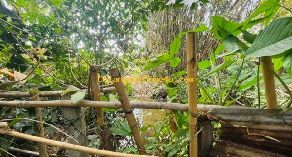 For rent 4 bedrooms house in Saraphi, Chiang Mai