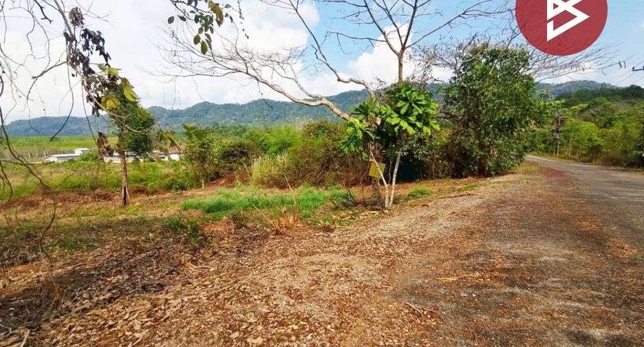 For sale land in Kaeng Hang Maeo, Chanthaburi