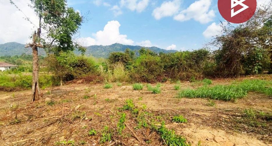 For sale land in Kaeng Hang Maeo, Chanthaburi