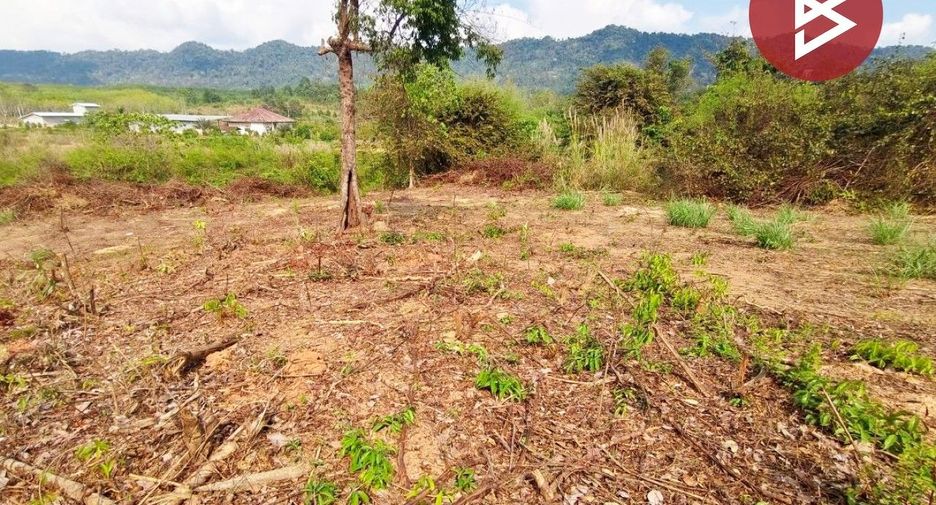 For sale land in Kaeng Hang Maeo, Chanthaburi