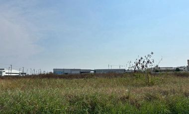 For sale land in Bang Phli, Samut Prakan
