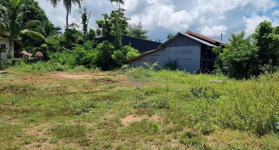 For sale land in Ko Samui, Surat Thani