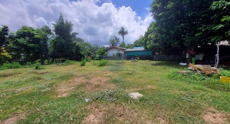 For sale land in Ko Samui, Surat Thani