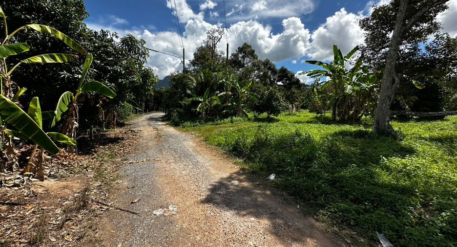 Terreno en venta en Mueang Rayong, Rayong