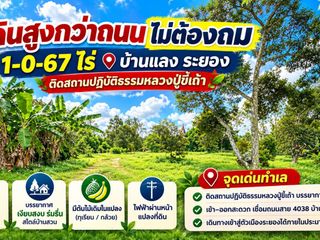 For sale land in Mueang Rayong, Rayong