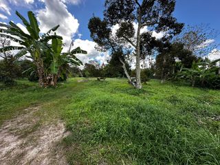 For sale land in Mueang Rayong, Rayong