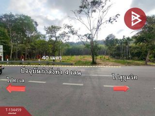 Grundstück zum Kauf in Na Yai Am, Chanthaburi