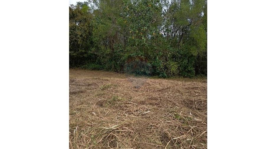 For rent land in Ko Samui, Surat Thani