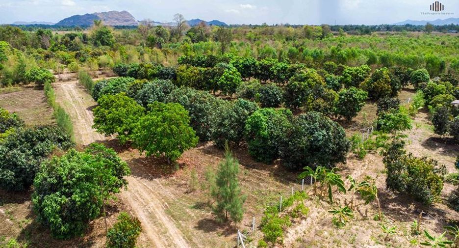 For sale land in Chom Bueng, Ratchaburi