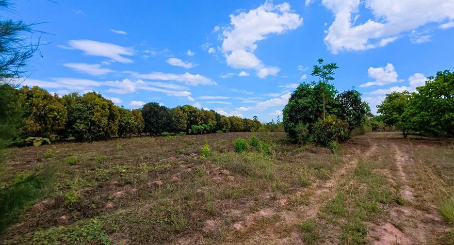 For sale land in Chom Bueng, Ratchaburi