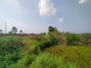 For sale land in Ongkharak, Nakhon Nayok