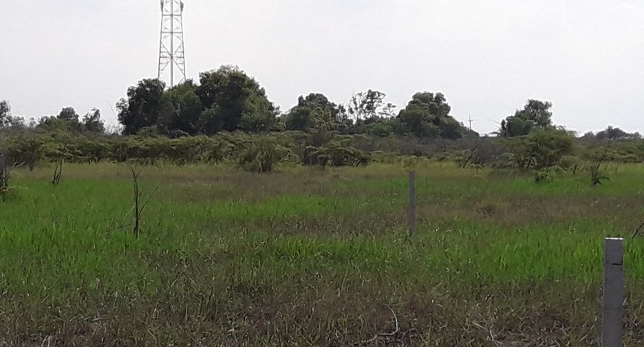 For sale land in Ongkharak, Nakhon Nayok