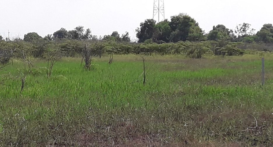 For sale land in Ongkharak, Nakhon Nayok