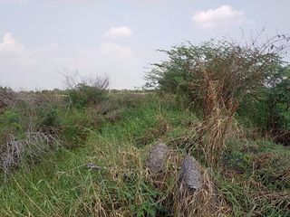 For sale land in Ongkharak, Nakhon Nayok
