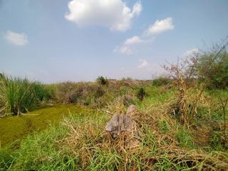 For sale land in Ongkharak, Nakhon Nayok