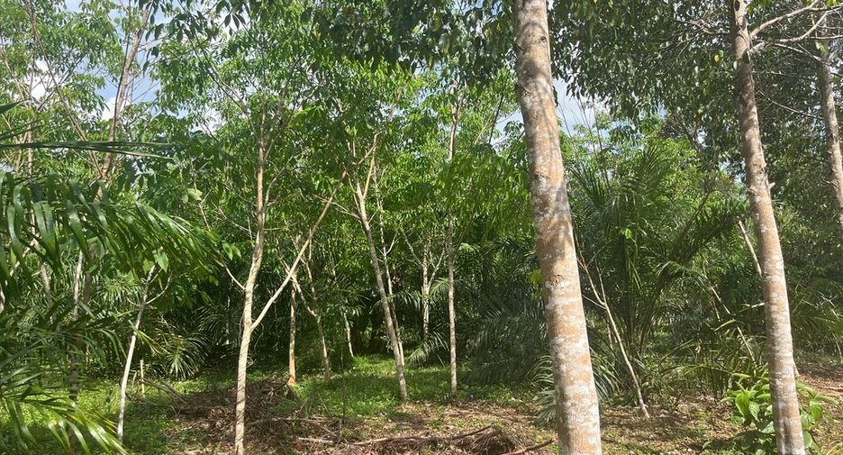 À vendre terrain à Thai Mueang, Phang Nga