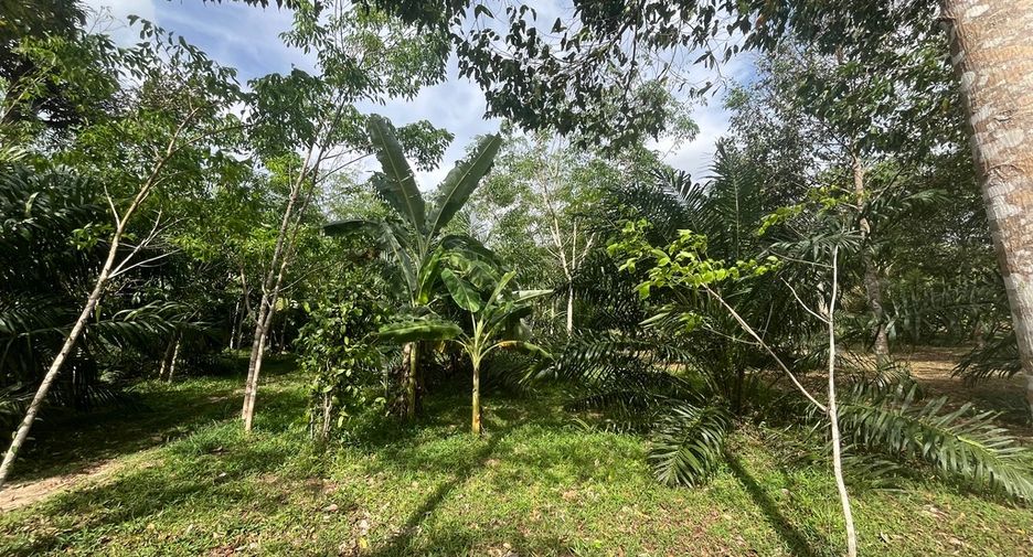 À vendre terrain à Thai Mueang, Phang Nga