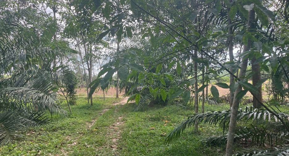 À vendre terrain à Thai Mueang, Phang Nga