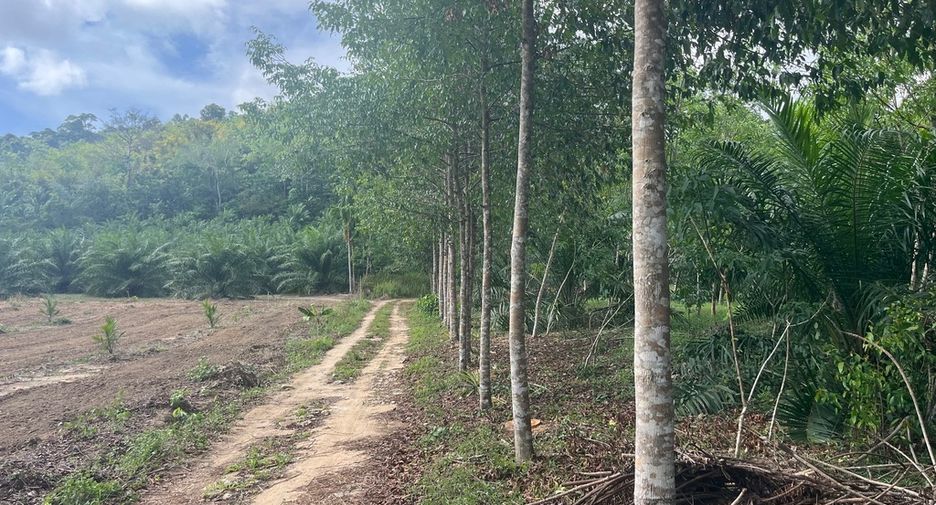 À vendre terrain à Thai Mueang, Phang Nga