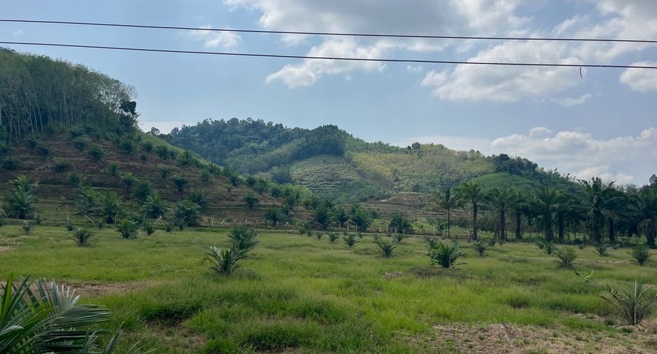 For sale land in Thai Mueang, Phang Nga
