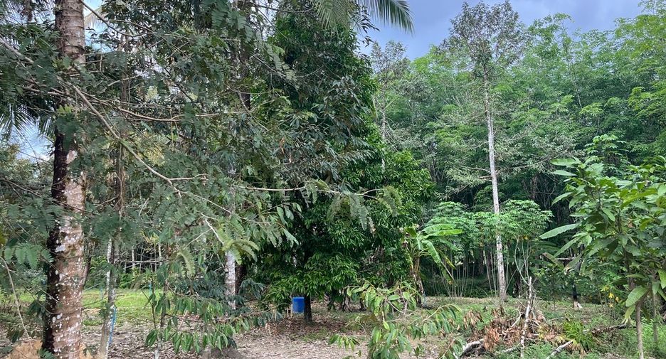 For sale land in Thai Mueang, Phang Nga