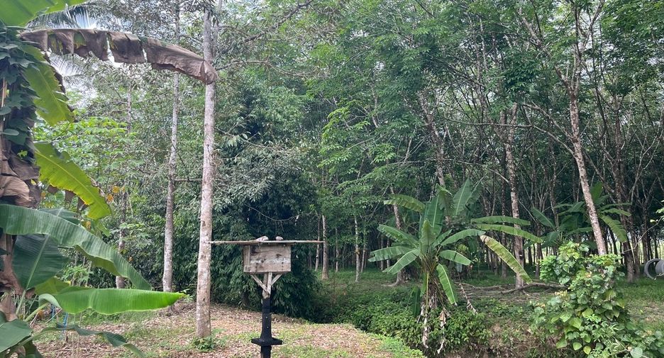 For sale land in Thai Mueang, Phang Nga