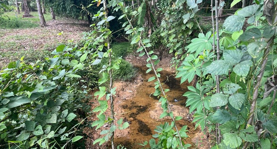 For sale land in Thai Mueang, Phang Nga