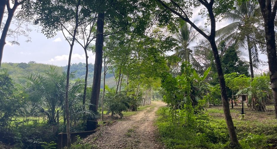 For sale land in Thai Mueang, Phang Nga