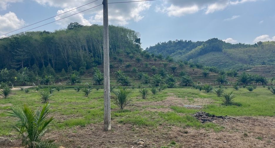 For sale land in Thai Mueang, Phang Nga