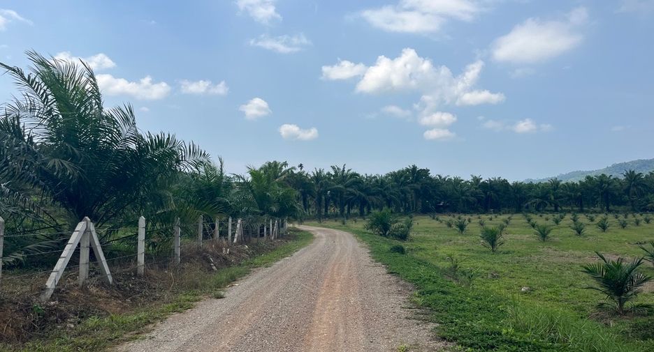 For sale land in Thai Mueang, Phang Nga