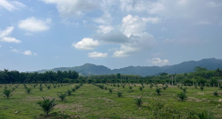 For sale land in Thai Mueang, Phang Nga