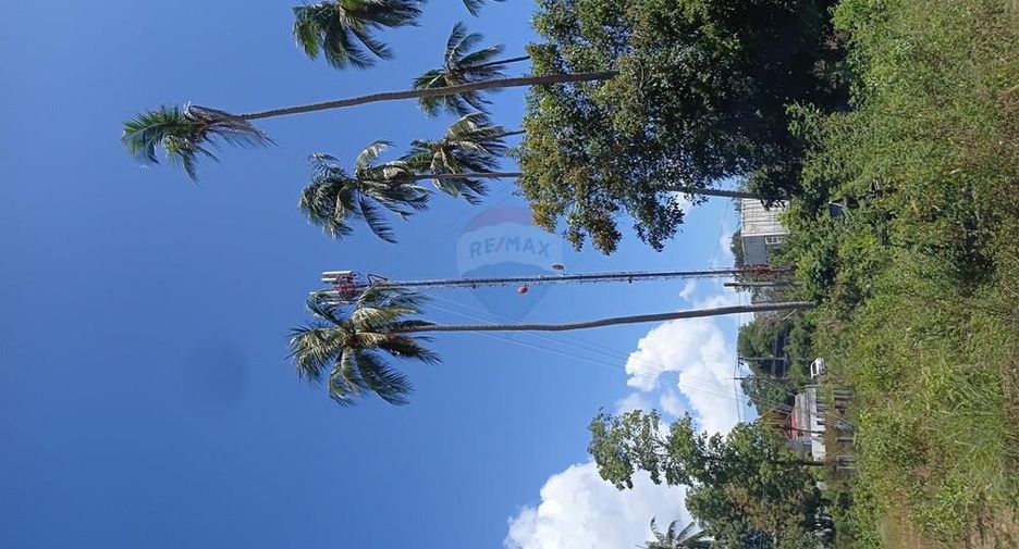 Grundstück zum Kauf in Ko Samui, Surat Thani