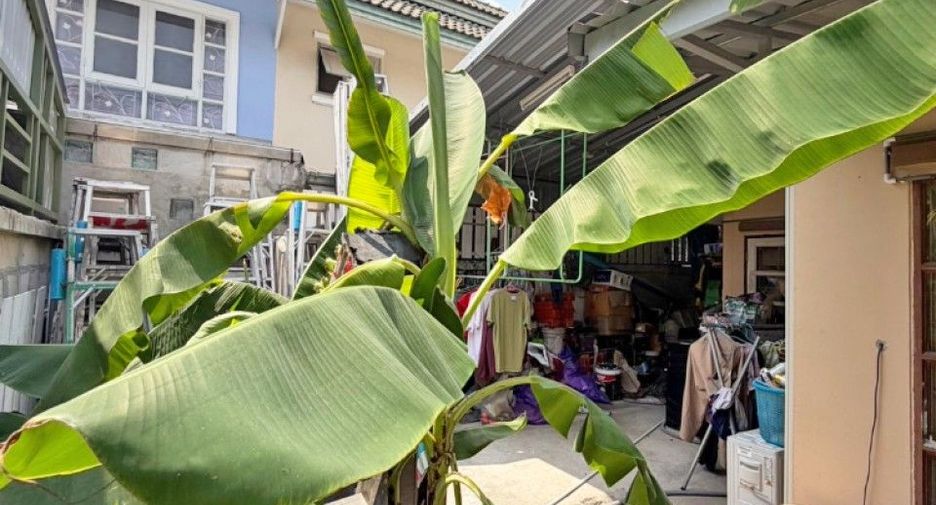 Продажа 3 спальни дом в Lam Luk Ka, Патумтани