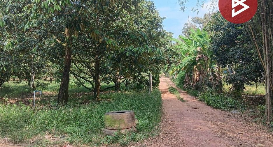 For sale land in Klaeng, Rayong