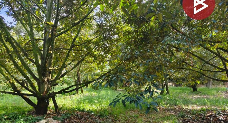 For sale land in Klaeng, Rayong