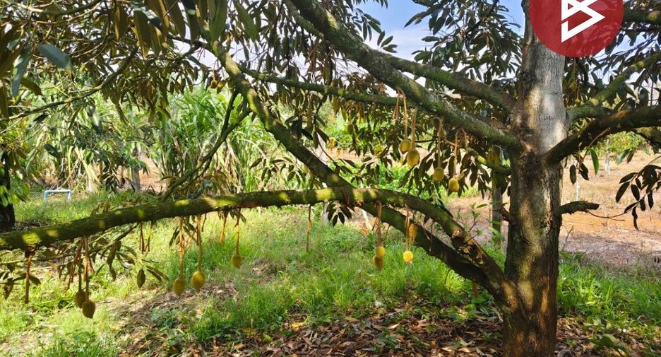 For sale land in Klaeng, Rayong