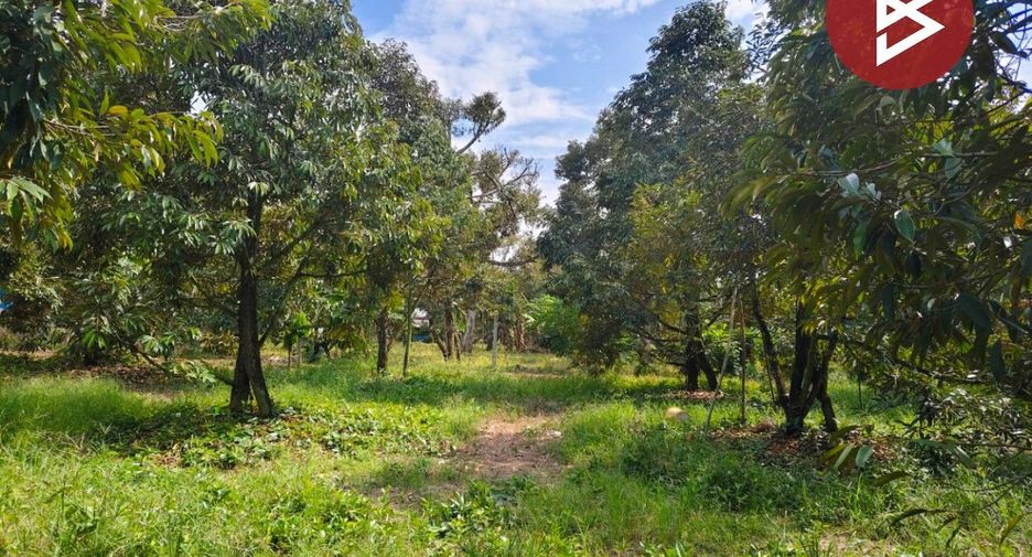 For sale land in Klaeng, Rayong