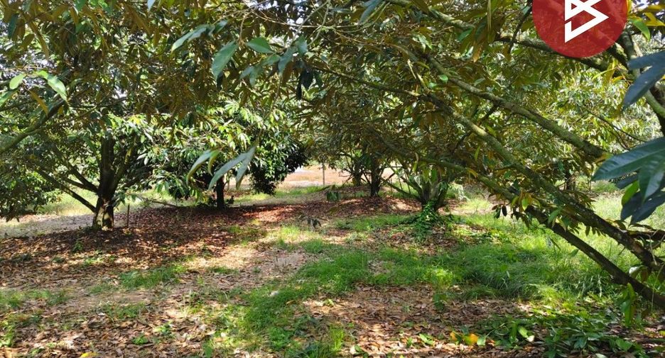 For sale land in Klaeng, Rayong