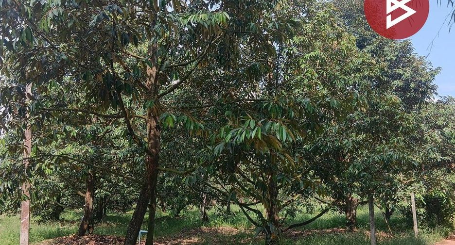 For sale land in Klaeng, Rayong