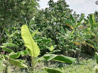 For sale land in Mueang Nonthaburi, Nonthaburi